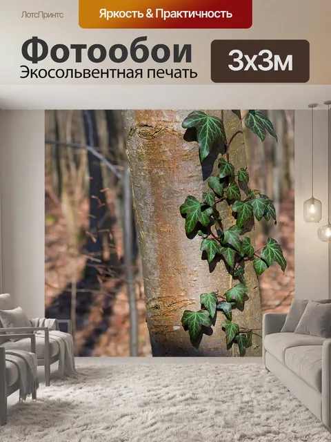 Фотообои Дерево