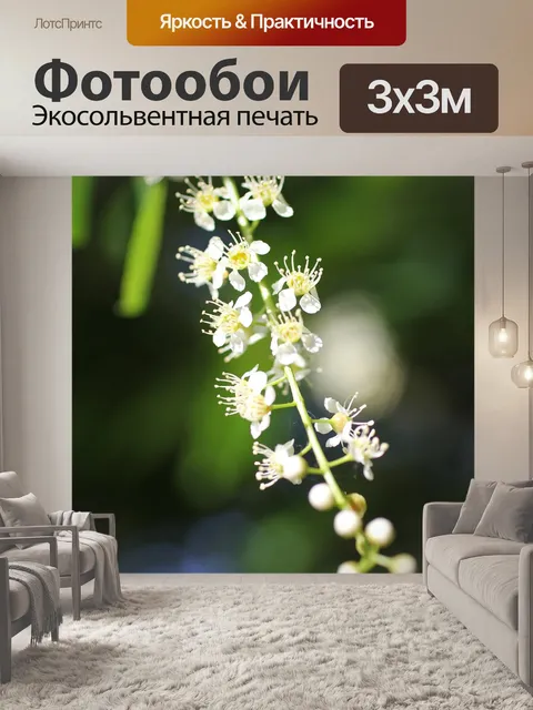 Фотообои Блоссом