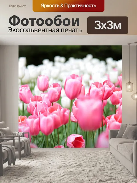 Фотообои Тюльпаны