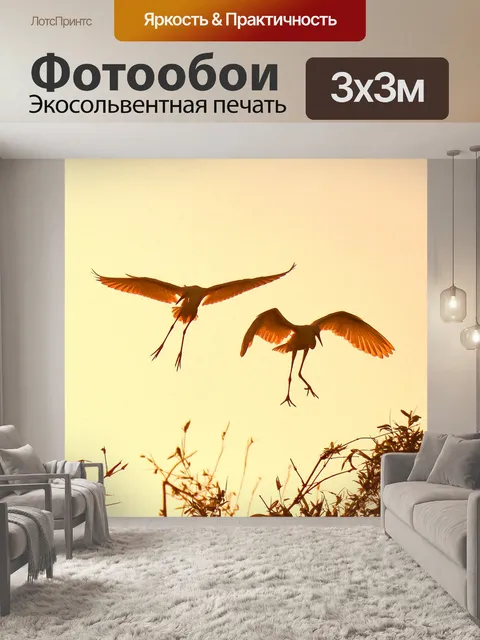 Фотообои Закат днем