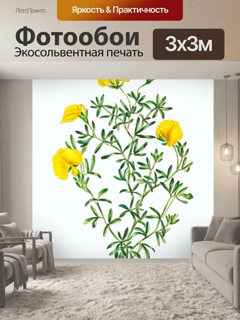 Фотообои Цветок желтый винтаж старый
