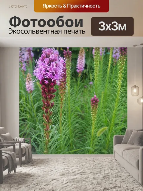 Фотообои Лаванда