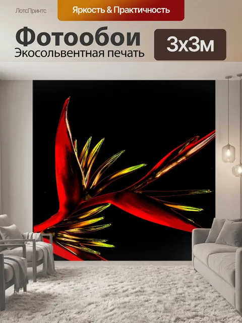 Фотообои Райская птица 1