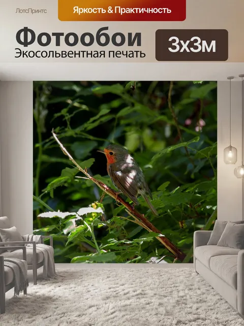 Фотообои Природа