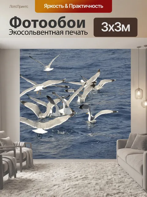 Фотообои Чайки