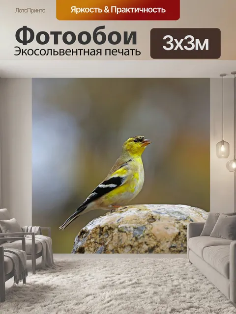 Фотообои Птица