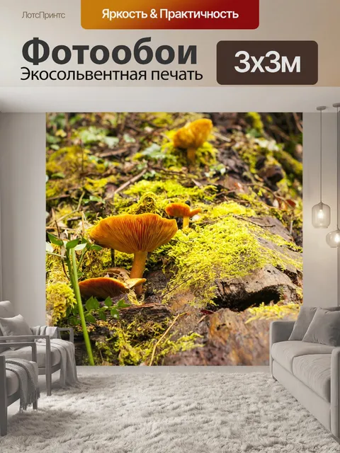 Фотообои Лес