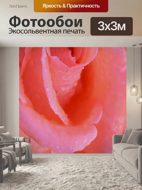 Фотообои Роза