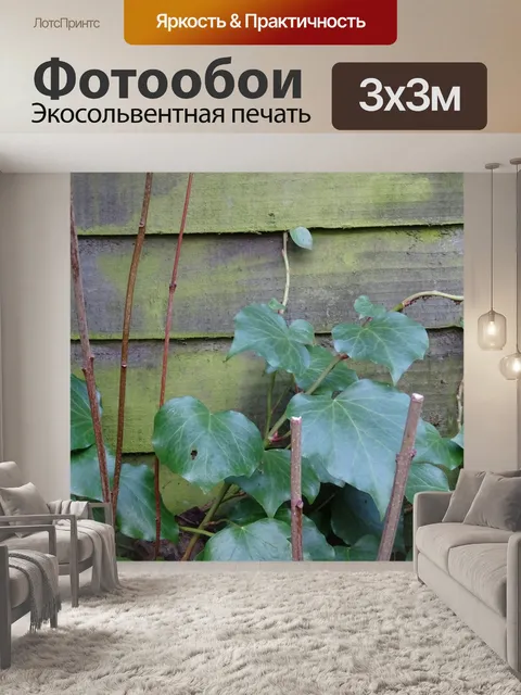 Фотообои Сад забор и Флора фона