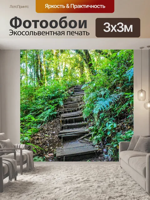 Фотообои Тропический лес в Дои Интанон, Чиангмай