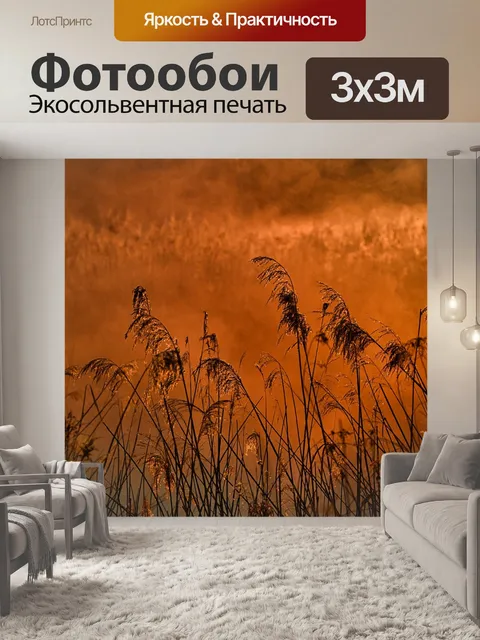 Фотообои Утренний туман