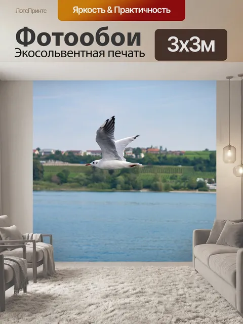 Фотообои Чайка