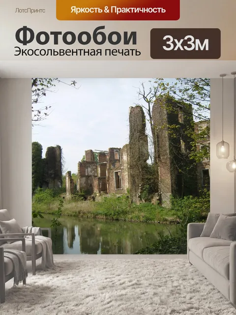 Фотообои Разорение