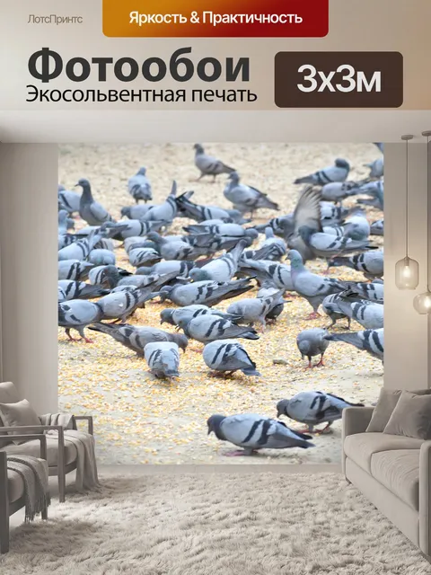 Фотообои Голуби