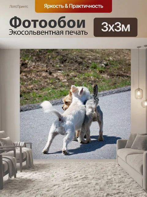 Фотообои Собаки