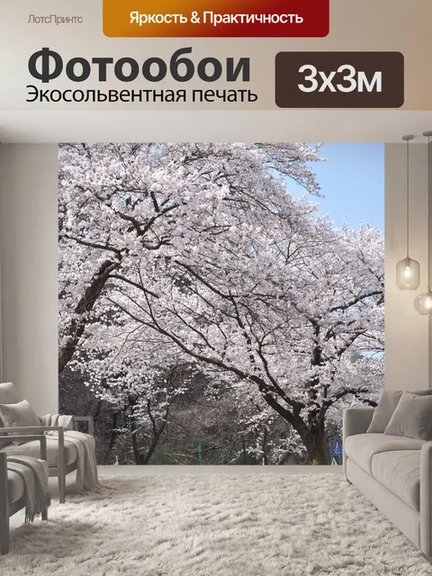 Фотообои Вишня в цвету
