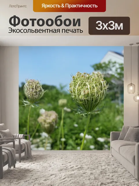 Фотообои Цветы