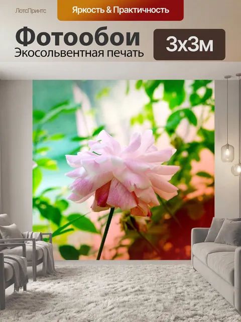 Фотообои Роза