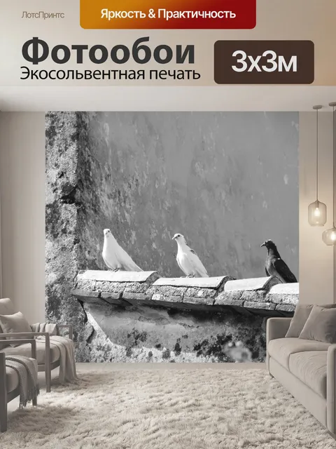 Фотообои Птицы