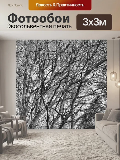 Фотообои Деревья