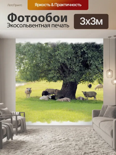Фотообои Тень