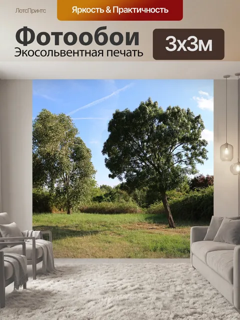 Фотообои Деревья