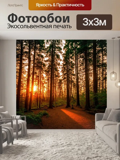 Фотообои вечерний лес с закатом, освещающим деревья мягким оранжевым цветом