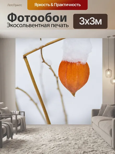Фотообои Фонарь