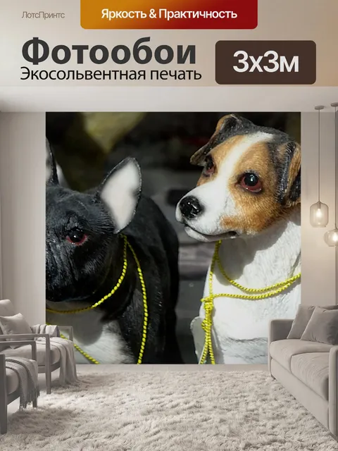 Фотообои Две модельные собаки