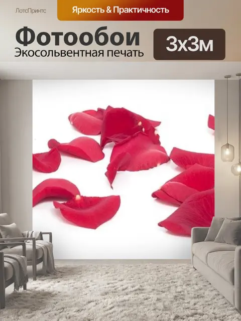 Фотообои Роза
