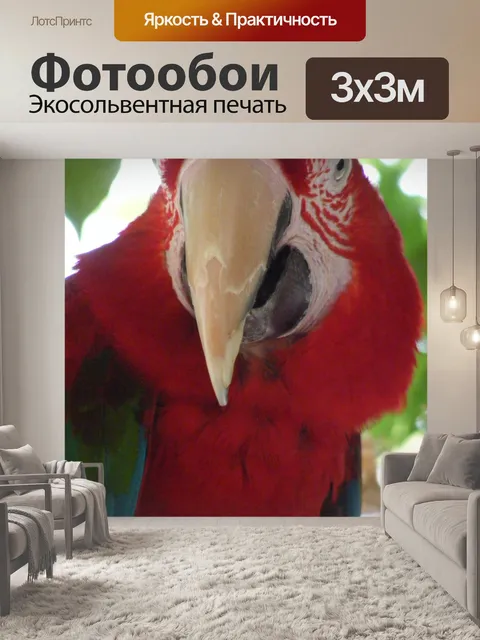 Фотообои Красный и золотой ара