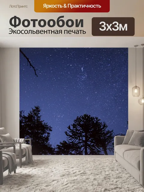 Фотообои Дорогой