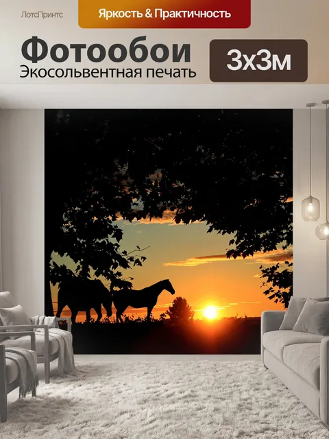 Фотообои Заход солнца