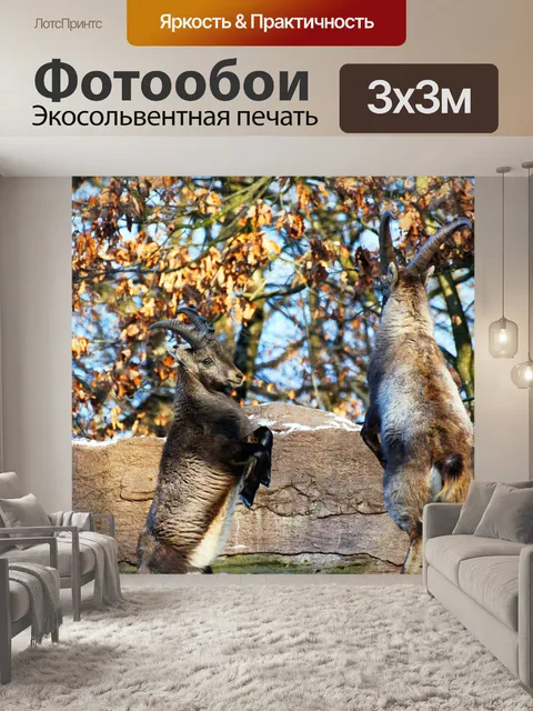 Фотообои Горные козлы