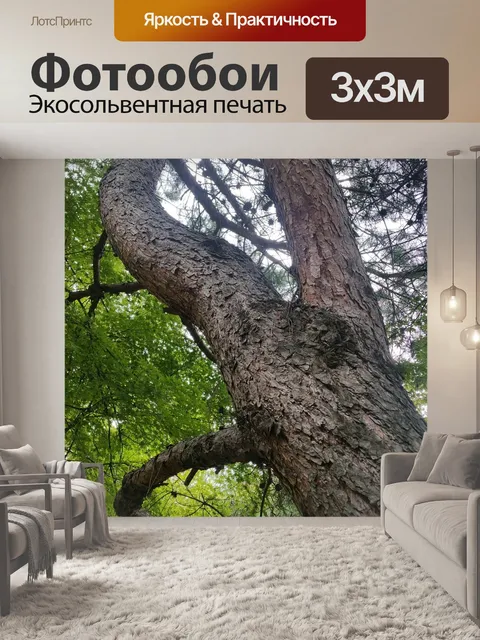 Фотообои Дерево