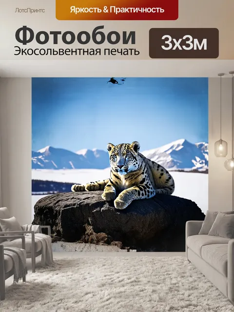 Фотообои снежный барс, лежащий на большом камне, умиротворенно греется на солнце