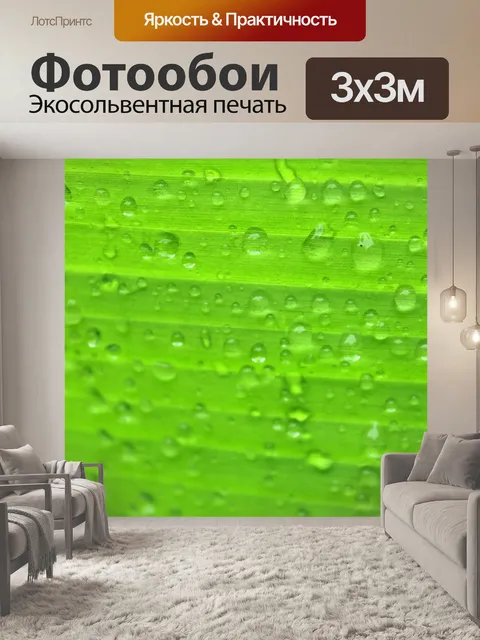 Фотообои Зеленый лист банан