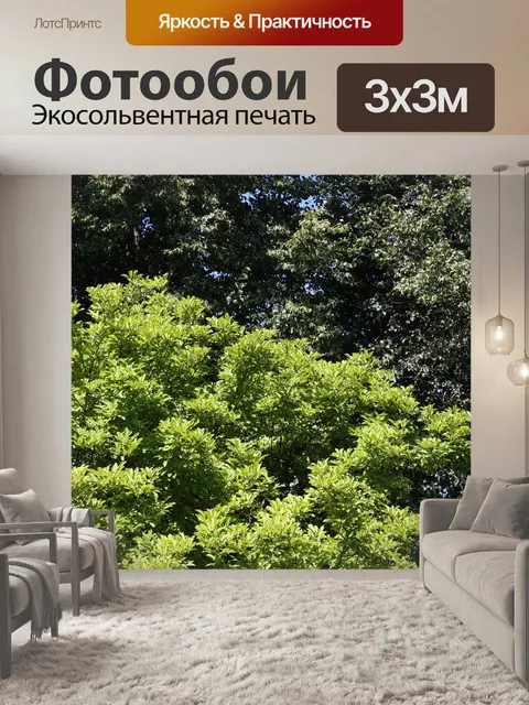Фотообои Деревья