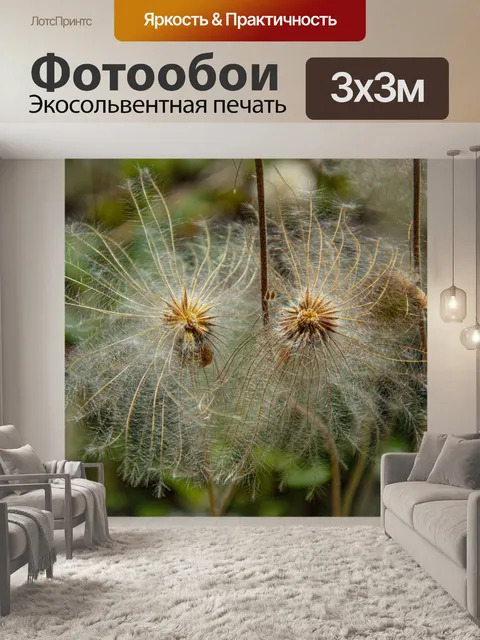 Фотообои Цветы