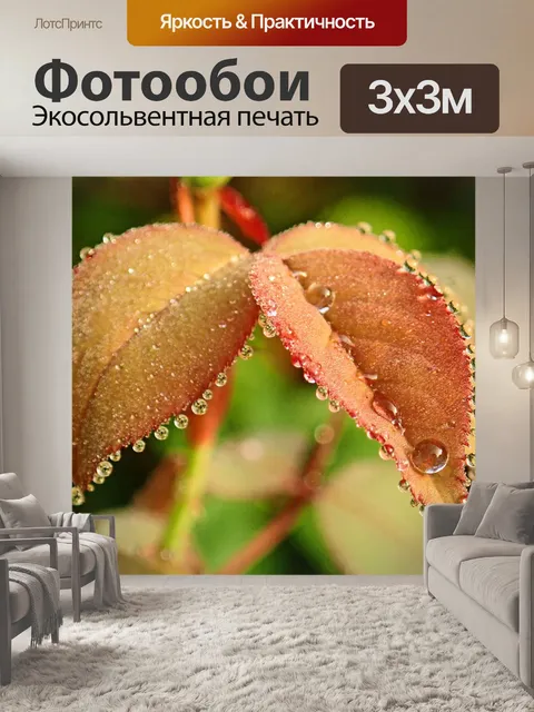 Фотообои Листья