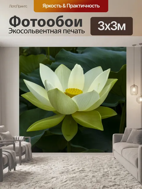 Фотообои Плавающий цветок лотоса