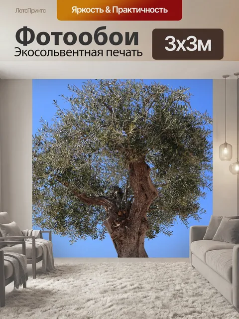 Фотообои Оливковый