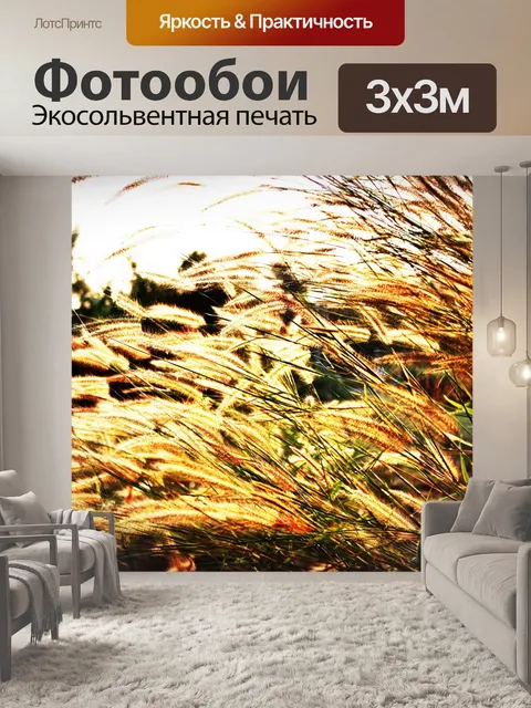 Фотообои Полевые цветы