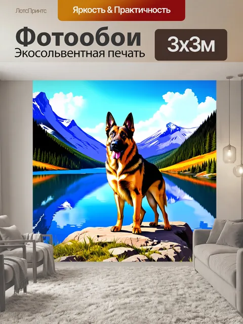 Фотообои изображение немецкой овчарки