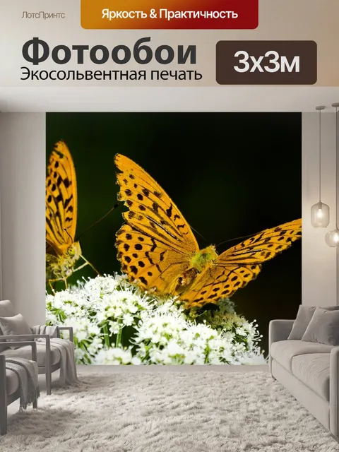 Фотообои Бабочка