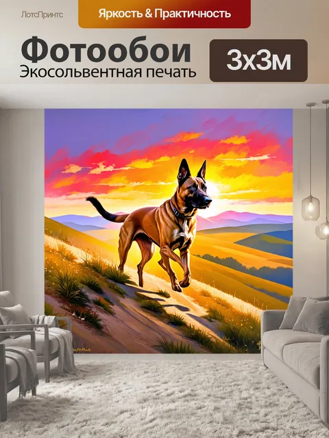 Фотообои малинуа стремительно падает по склону на фоне яркого заката