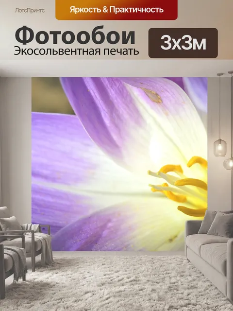 Фотообои Цветок