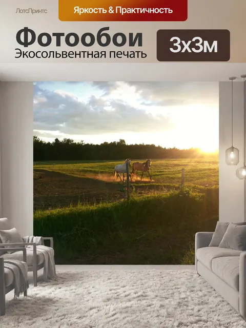 Фотообои Лошади и Закат