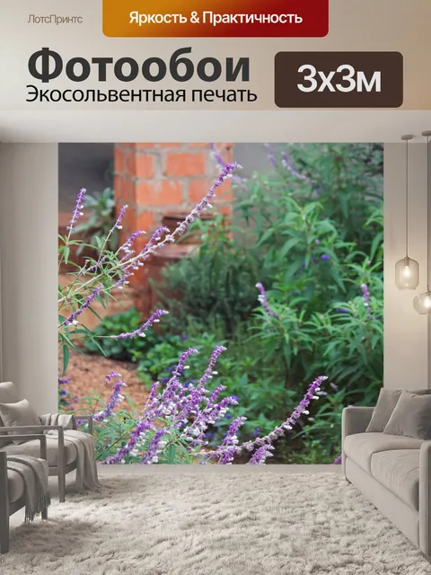 Фотообои фиолетовые цветы на длинных стеблях