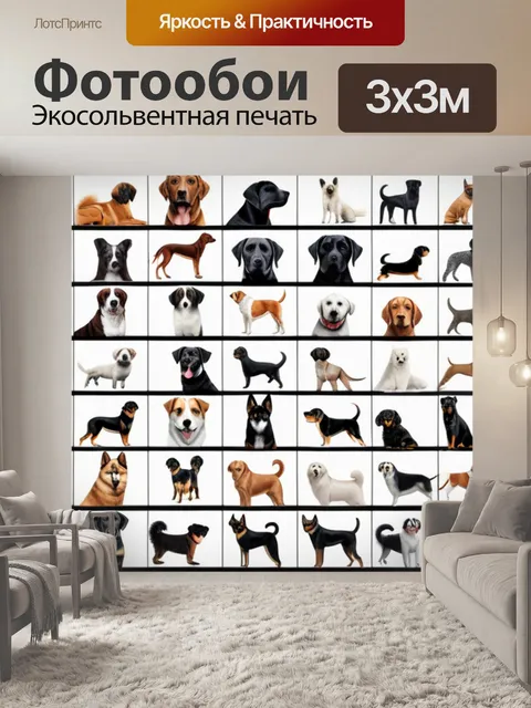 Фотообои с породами собак красивый
